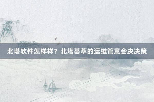 北塔软件怎样样？北塔荟萃的运维管意会决决策
